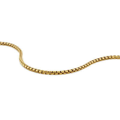Runde Box Kette Gold Edelstahl 2.5mm